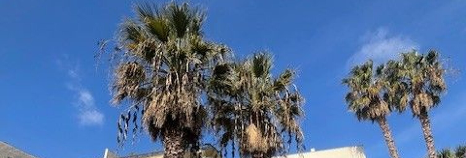 Appartement 1 Pièce 22 m² à vendre à Six-Fours-les-Plages (83140)