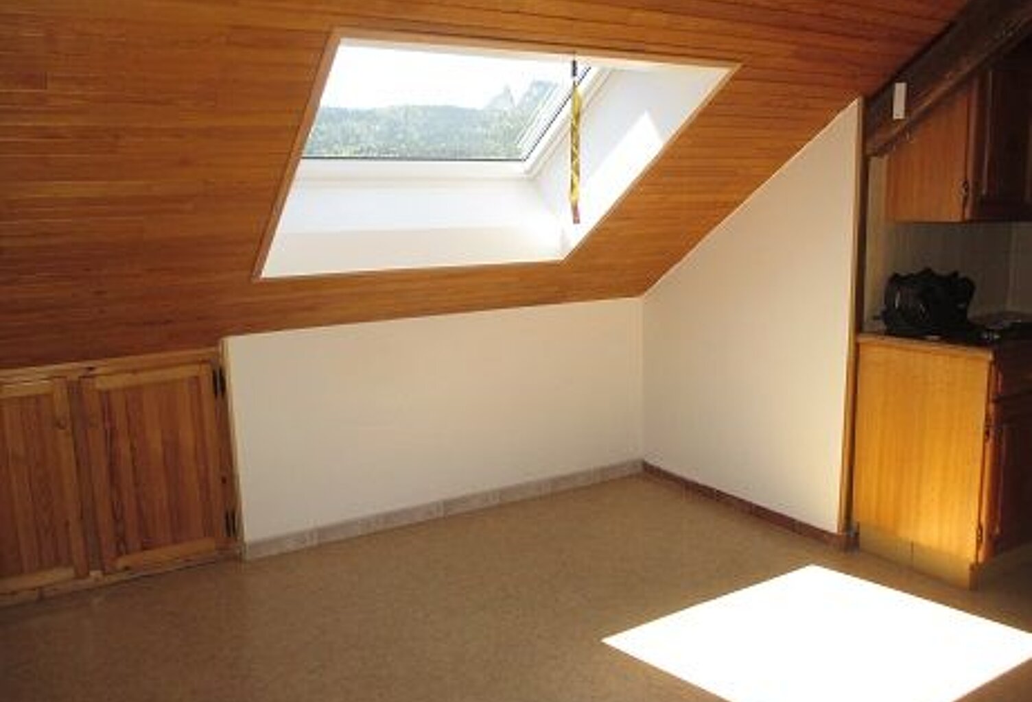 Appartement Entremont Le Vieux 1 pièce(s) 25.52 m2 — photo 1