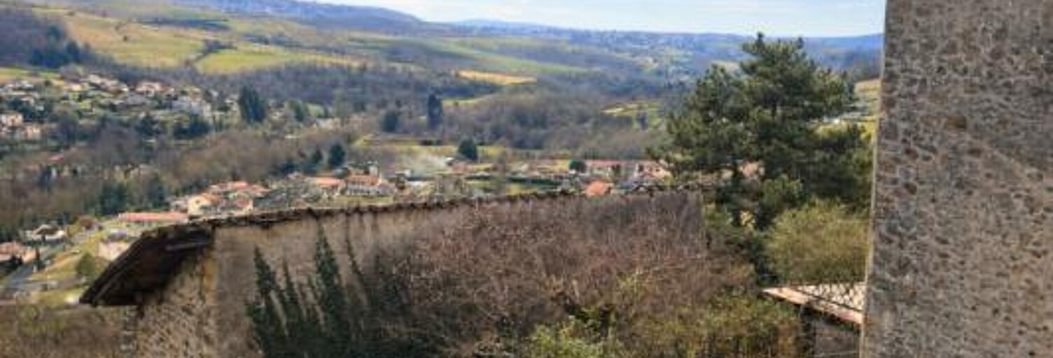 Appartement 2 Pièces 106 m² à vendre à Ternand (69620)