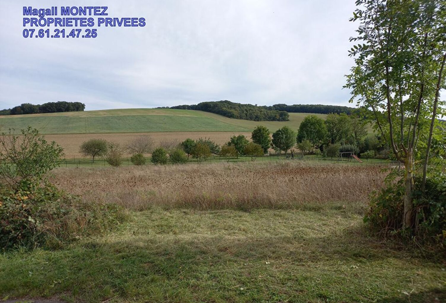 TERRAIN A BATIR DE 3034 m2 - AIX VILLEMAUR PALIS 10160 — photo 1