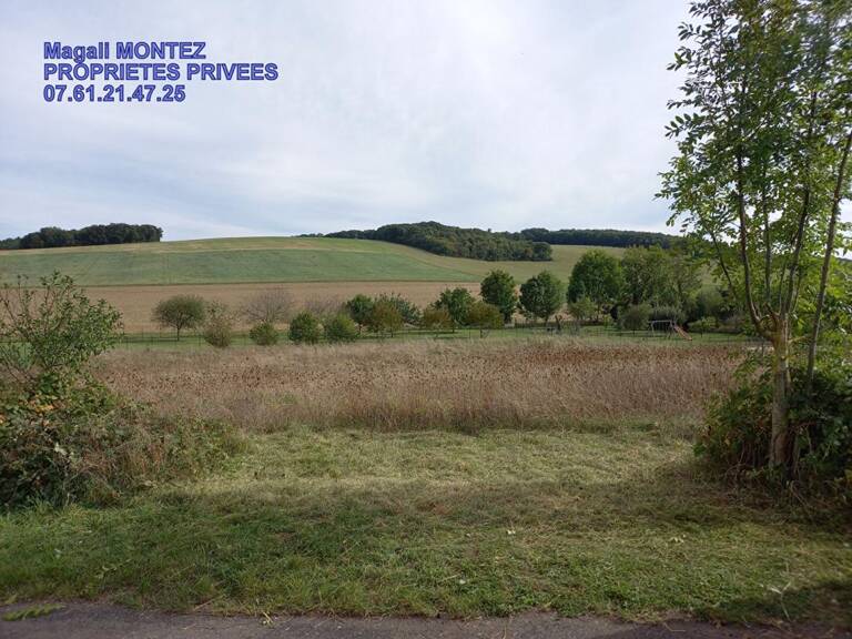 TERRAIN A BATIR DE 3034 m2 - AIX VILLEMAUR PALIS 10160 — photo 1