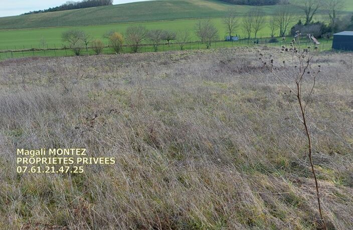 TERRAIN A BATIR DE 3034 m2 - AIX VILLEMAUR PALIS 10160 — photo 2