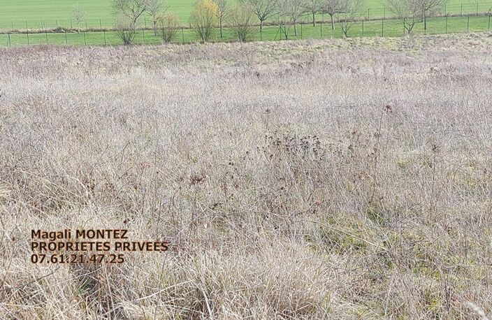 TERRAIN A BATIR DE 3034 m2 - AIX VILLEMAUR PALIS 10160 — photo 4