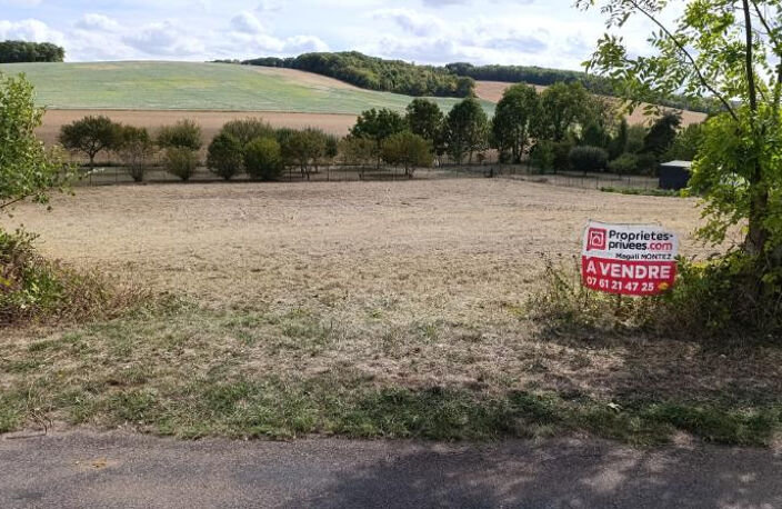 TERRAIN A BATIR DE 3034 m2 - AIX VILLEMAUR PALIS 10160 — photo 5