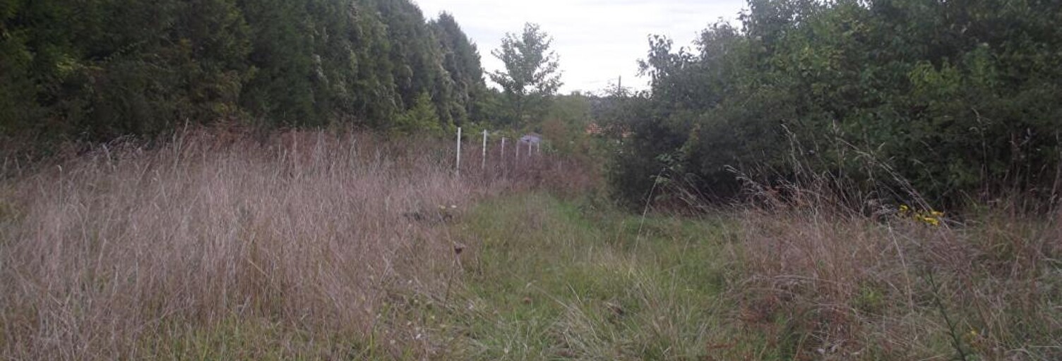 Terrain  2378 m² à vendre à Chavanges (10330)