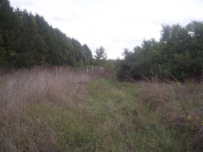 Terrain constructible — photo 1
