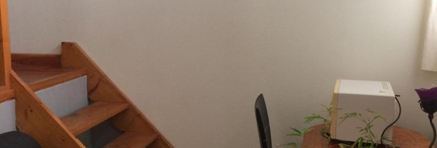 Appartement 1 Pièce 24 m² à louer à Lyon 2 (69002)