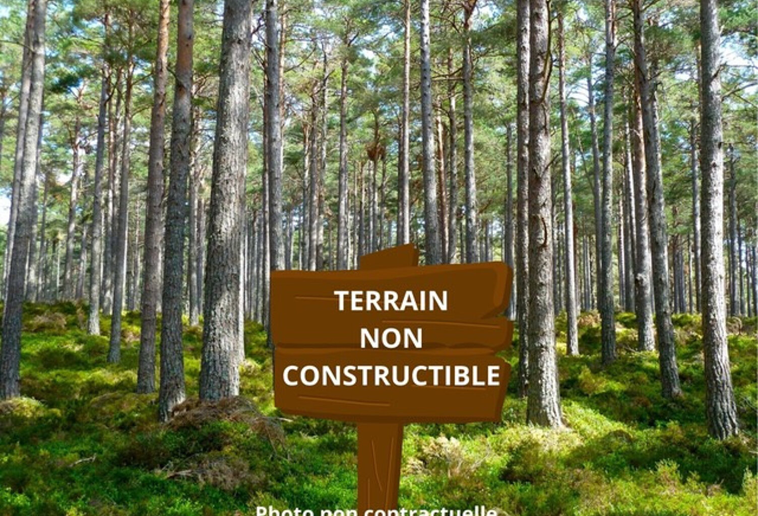 SAUGON TERRAIN NON CONSTRUCTIBLE — photo 1