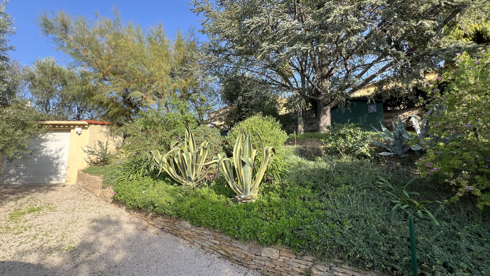 Terrain  à vendre Ceyreste 13600