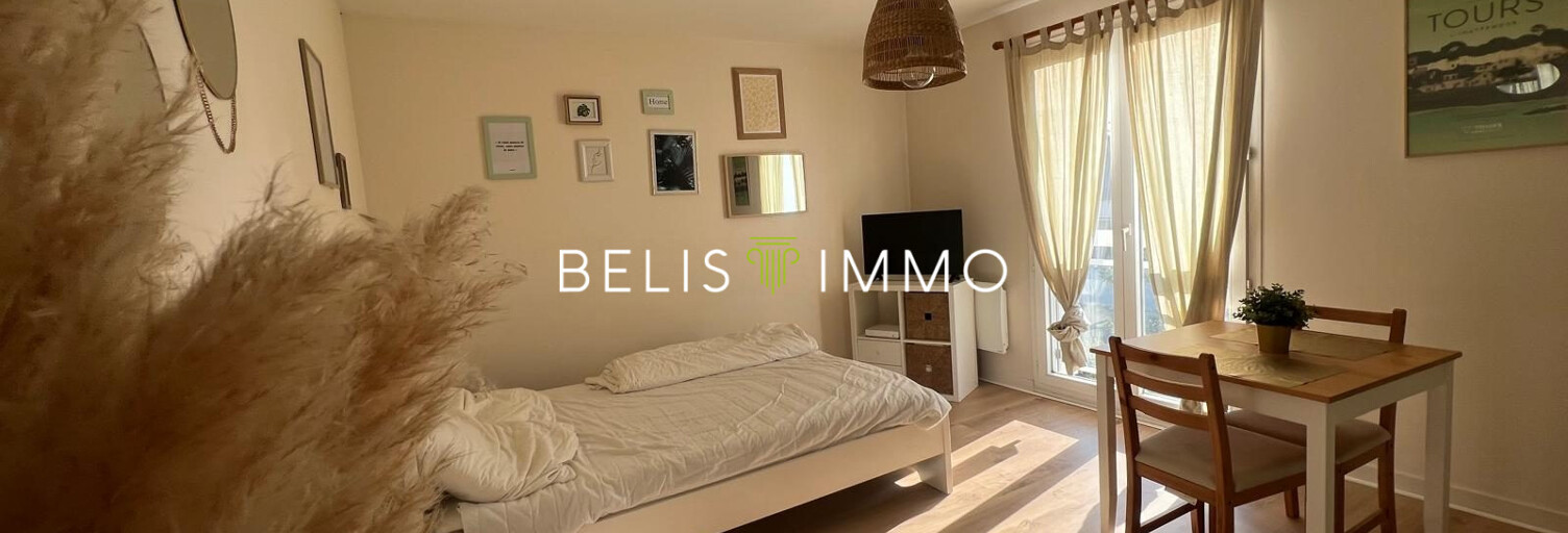 Appartement 1 Pièce 20 m² à louer à Joué-lès-Tours (37300)