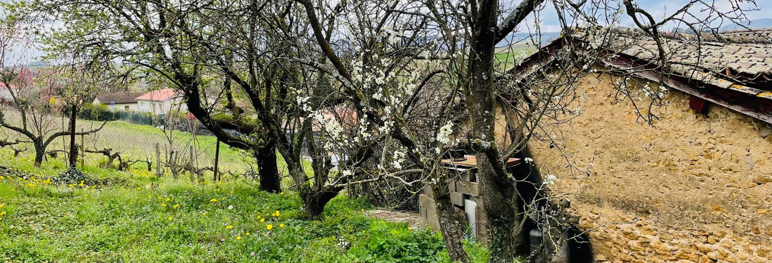 Maison 3 Pièces 100 m² à vendre à Porte des Pierres Dorées (69400)