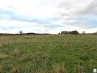 MONTVILLE — photo 3