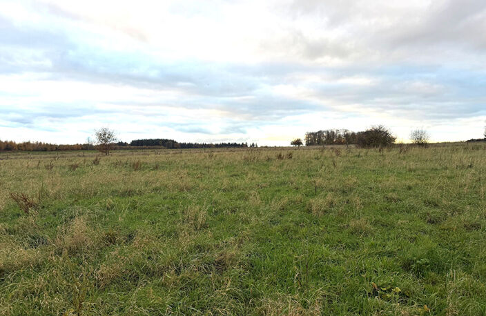 MONTVILLE — photo 3