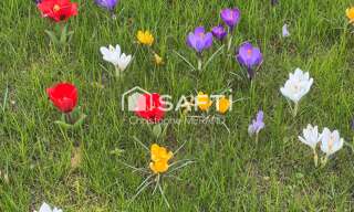 Terrain  1898 m² à vendre à Dangé-Saint-Romain (86220)