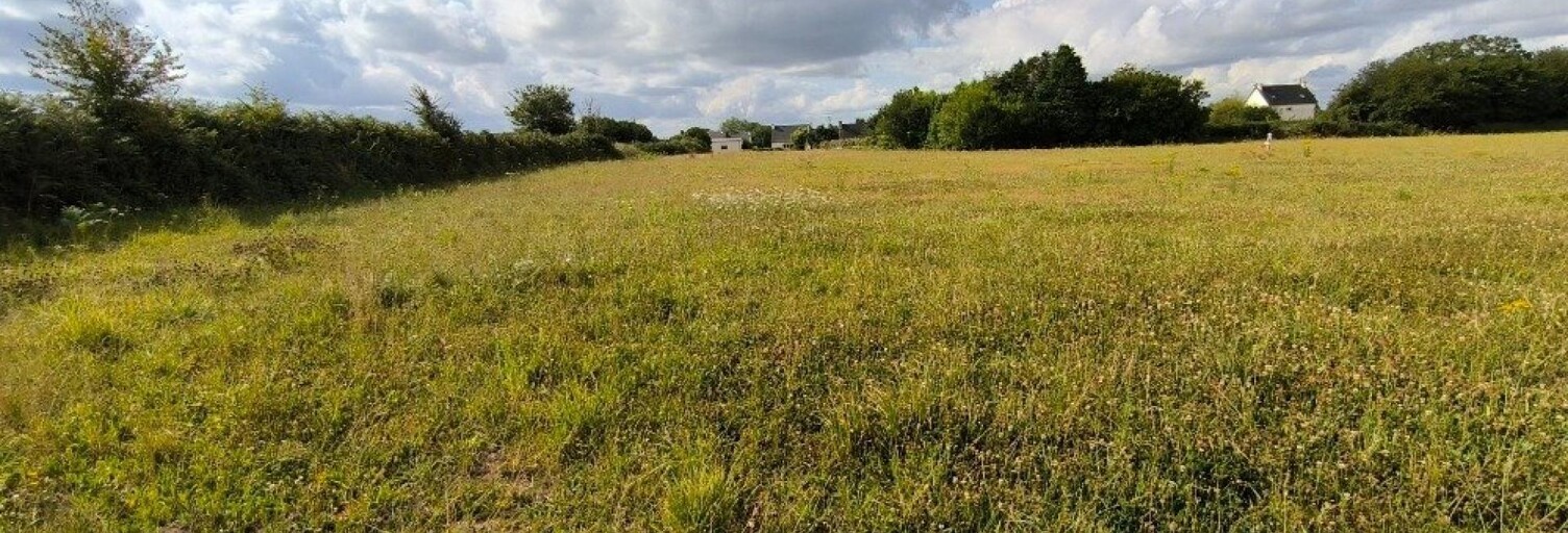 Terrain  1159 m² à vendre à Plouguiel (22220)