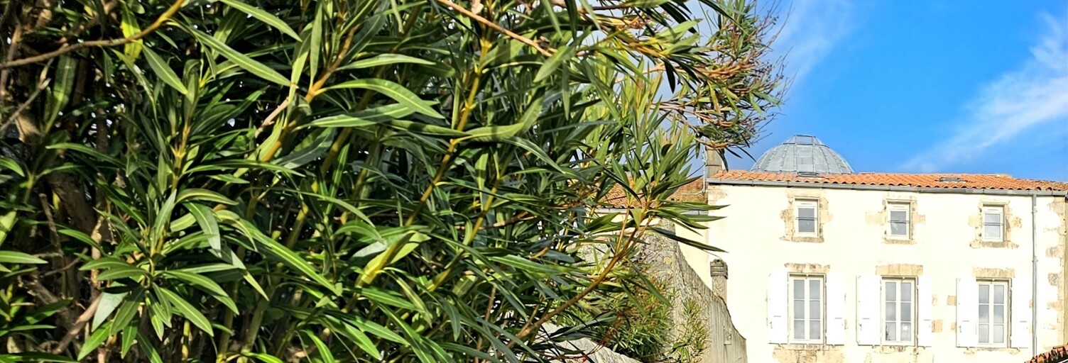 Maison 8 Pièces 220 m² à vendre à Marennes-Hiers-Brouage (17320)