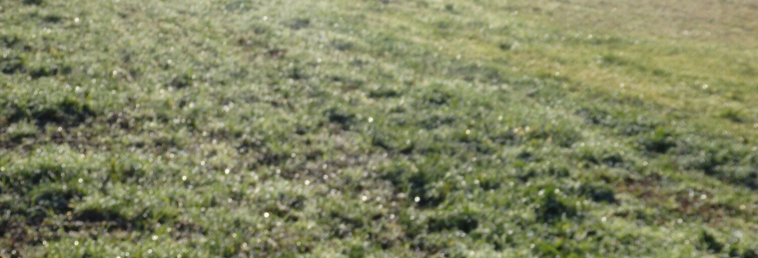 Terrain  554 m² à vendre à Asques (33240)