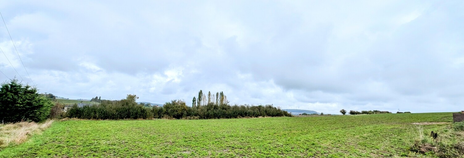 Terrain  568 m² à vendre à Boulay-Moselle (57220)