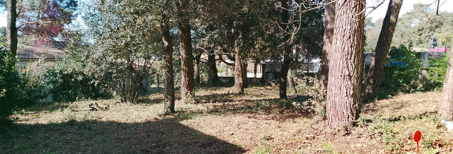 Terrain  244 m² à vendre à Jard-sur-Mer (85520)