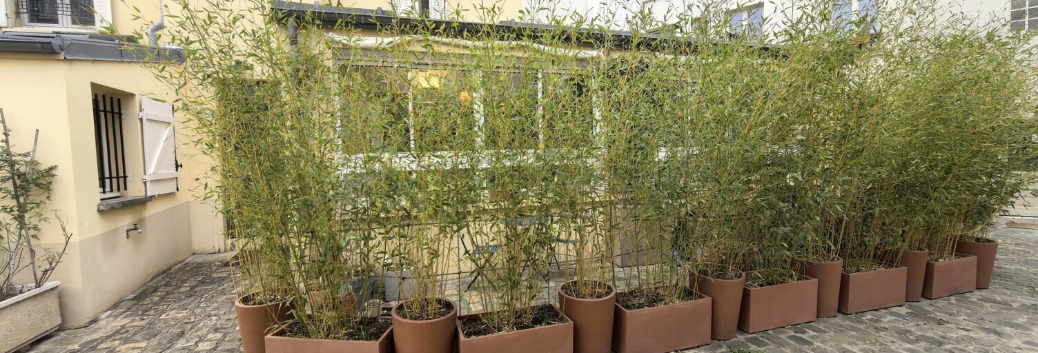 Maison 4 Pièces 71 m² à vendre à Paris 20 (75020)