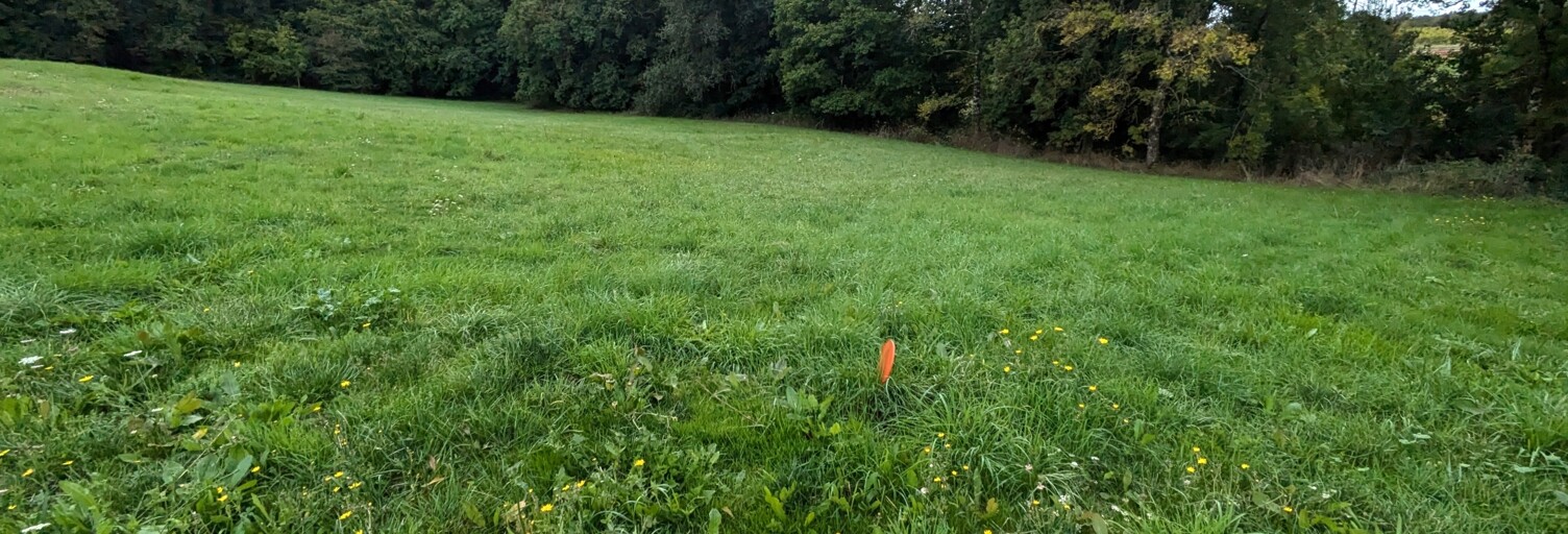 Terrain  882 m² à vendre à Écoyeux (17770)