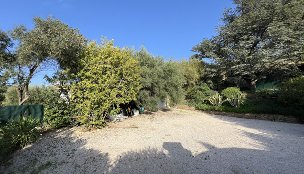 Terrain  à vendre Ceyreste 13600