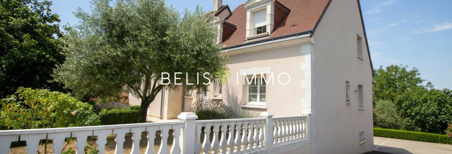 Maison 9 Pièces 171 m² à vendre à Montlouis-sur-Loire (37270)