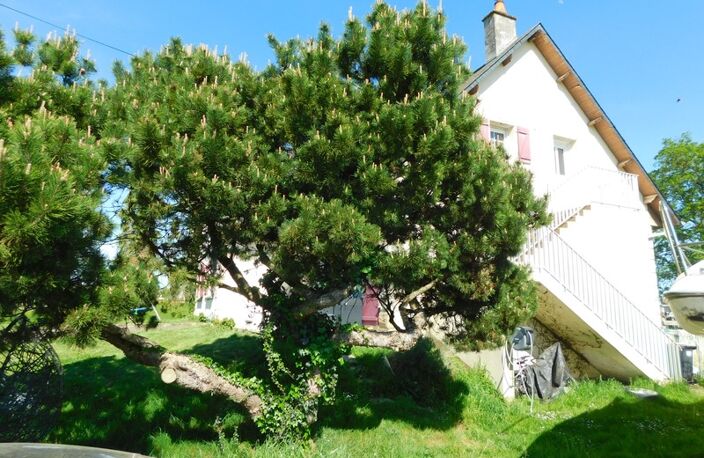 Maison à vendre 8 pièces LA CHAPELLE JANSON (35) — photo 5