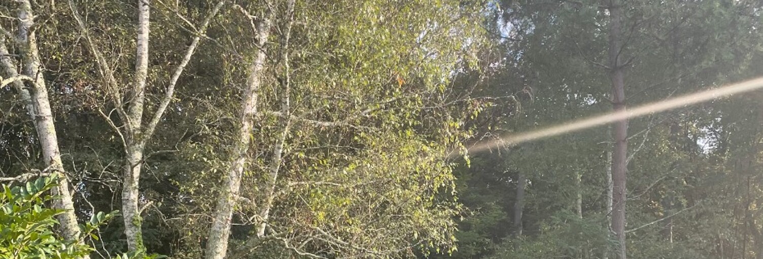 Terrain  420 m² à vendre à Le Pian-Médoc (33290)