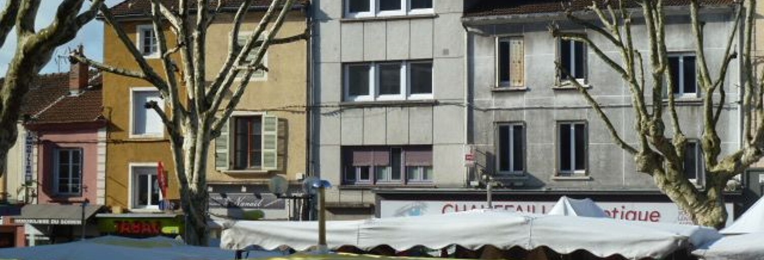 Appartement 4 Pièces 121 m² à louer à Chauffailles (71170)