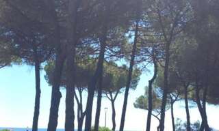 Appartement 2 Pièces 30 m² à louer à Argelès-sur-Mer (66700)