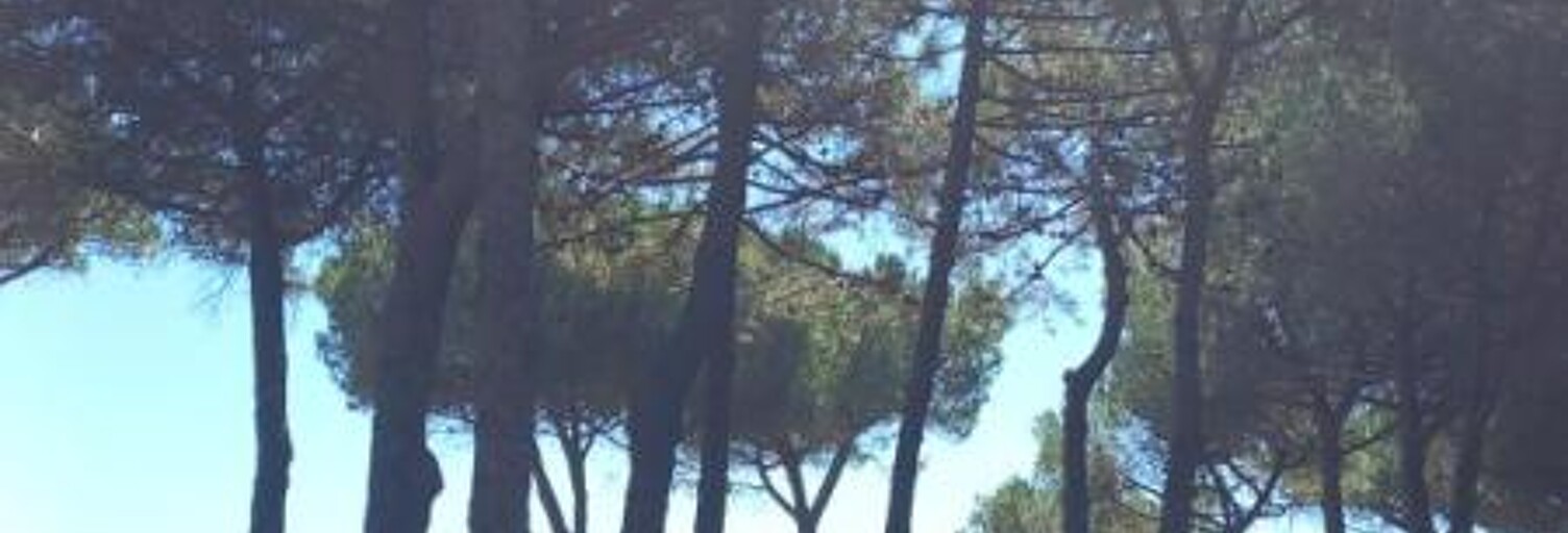 Appartement 2 Pièces 30 m² à louer à Argelès-sur-Mer (66700)