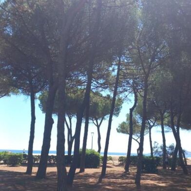 Appartement 2 pièces 550 €