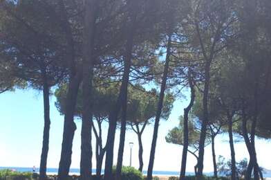 Appartement 2 pièces 550 €