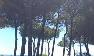 Appartement 2 Pièces 30 m² à louer à Argelès-sur-Mer (66700)