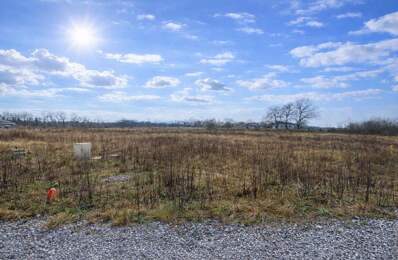 Terrain À Vendre viabilisé — photo du bien
