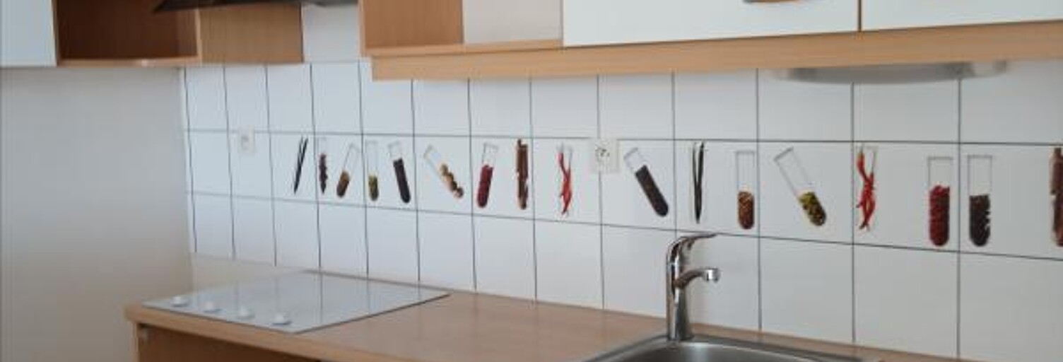 Appartement 3 Pièces 56 m² à louer à Riom (63200)