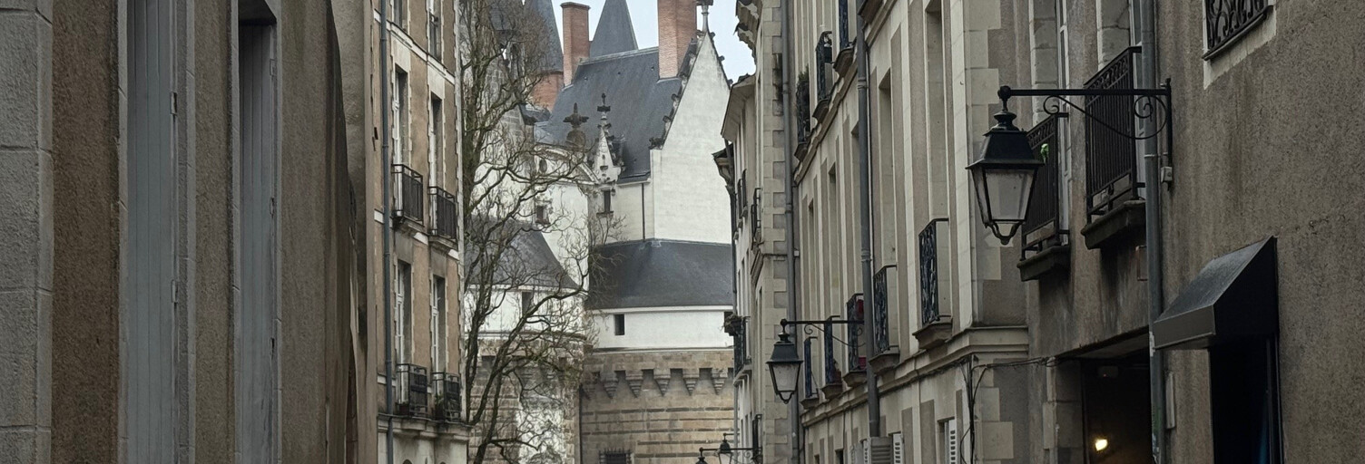 Appartement 2 Pièces 30 m² à vendre à Nantes (44000)