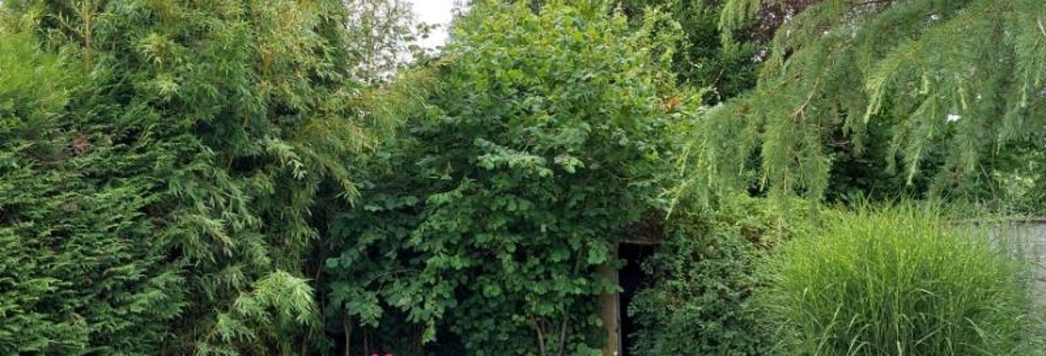 Maison 7 Pièces 195 m² à vendre à Vallée-de-Ronsard (41800)