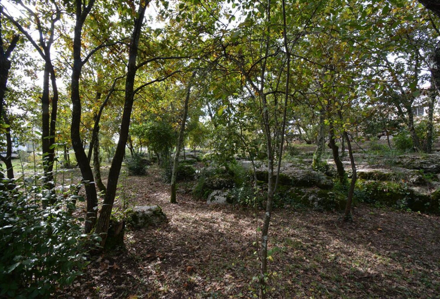 Terrain  1794 m2 — photo 1