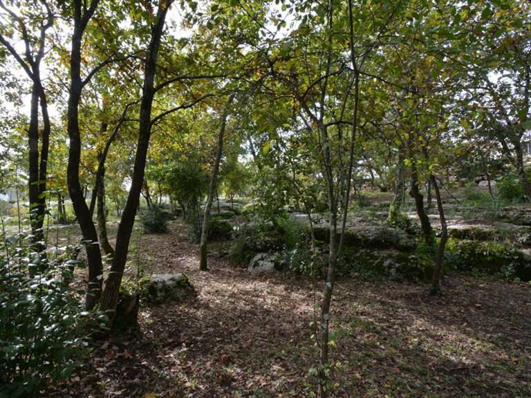 Terrain  1794 m2 — photo 1