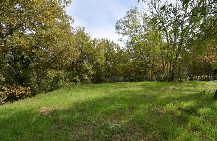 Terrain  1794 m2 — photo 2