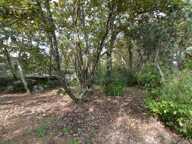 Terrain  1794 m2 — photo 3