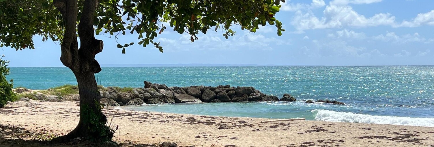 Appartement 3 Pièces 56 m² à vendre à Le Gosier (97190)