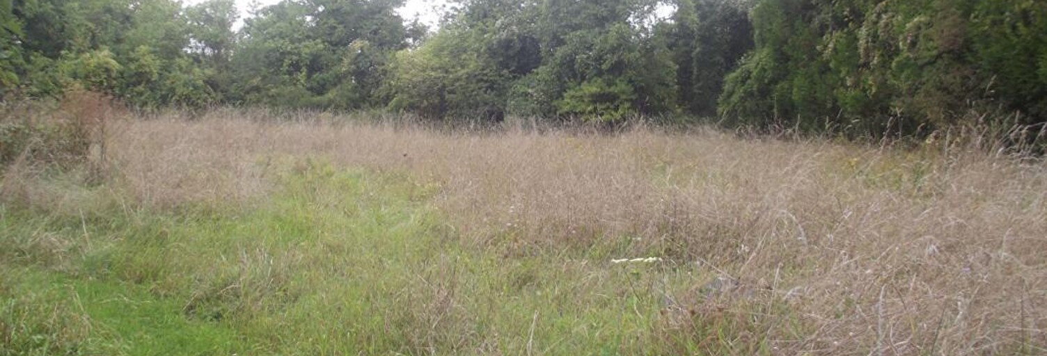 Terrain  2800 m² à vendre à Chavanges (10330)