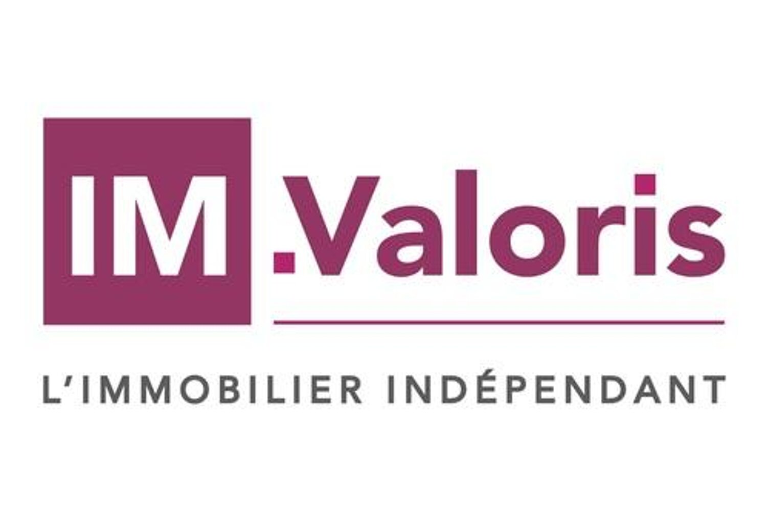 Vente commerce  300 m² Nazelles-Négron (37530) — photo 1