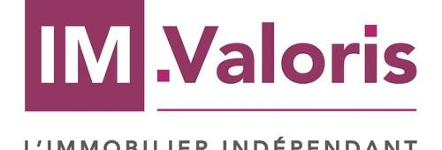 Commerce  300 m² à vendre à Nazelles-Négron (37530)