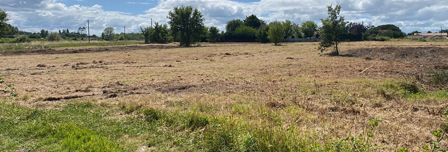 Terrain   m² à vendre à Saint-Genès-de-Blaye (33390)