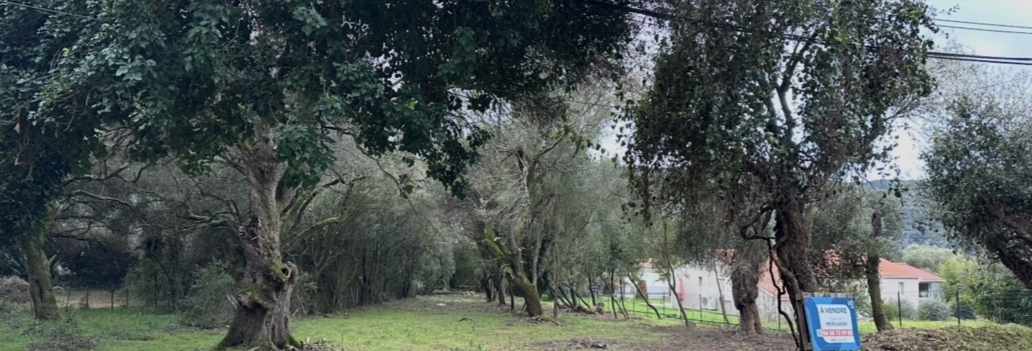 Terrain  1452 m² à vendre à Ocana (20117)