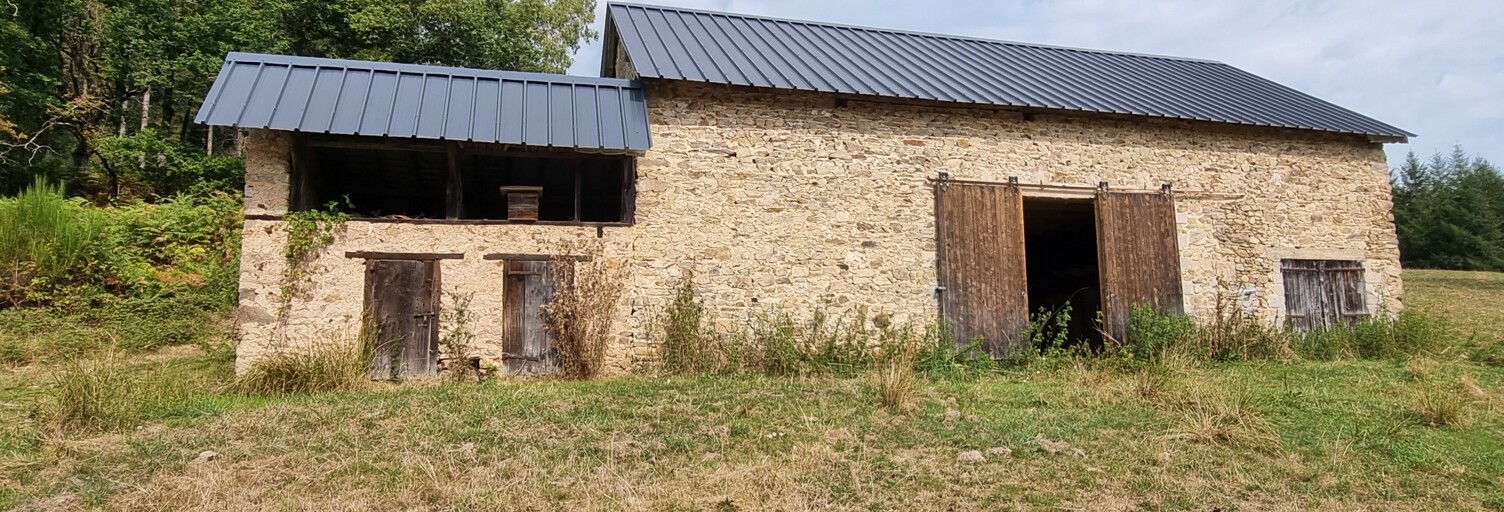 Maison 1 Pièce 110 m² à vendre à Juillac (19350)